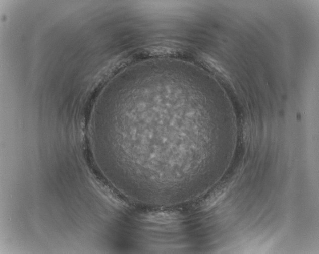 X0000066540737200603171240