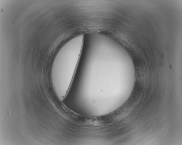 X0000066540742200603171240