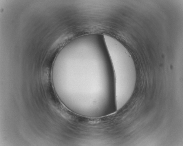 X0000066540744200603171240