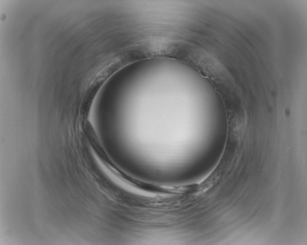 X0000066540746200603171240