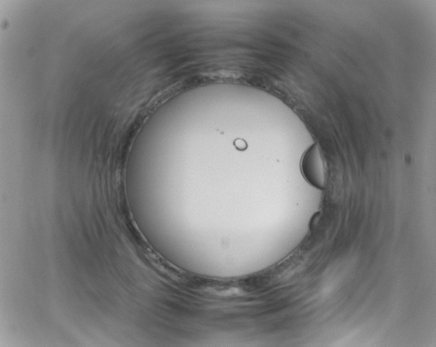 X0000066540747200603171240