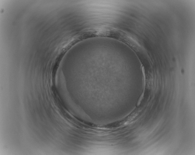 X0000066540748200603171240