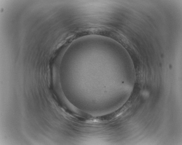 X0000066540750200603171240