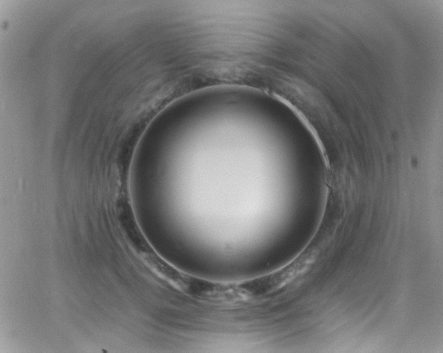 X0000066540752200603171240