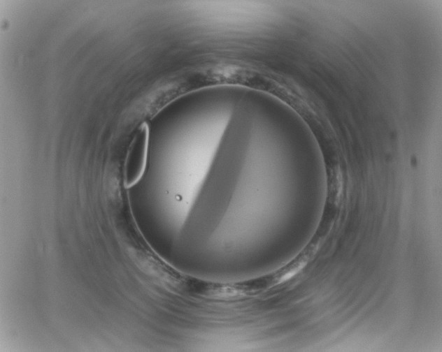 X0000066540754200603171240