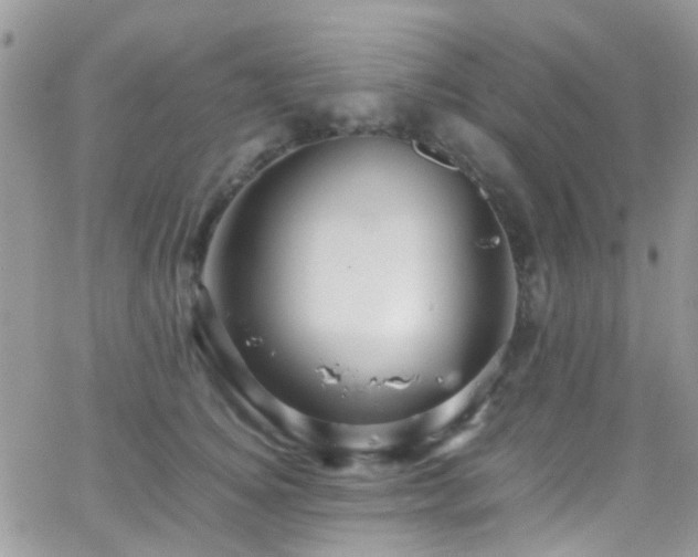 X0000066540756200603171240