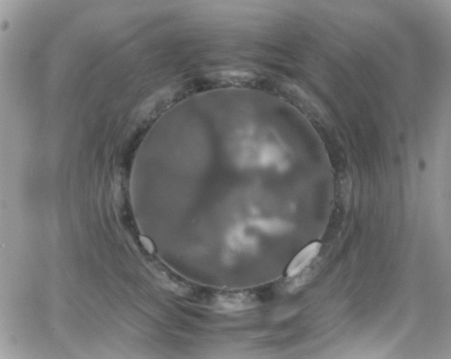 X0000066540757200603171240