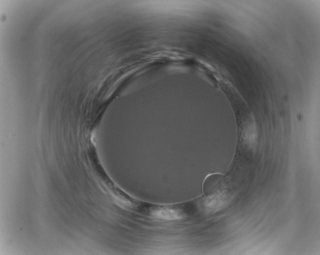 X0000066540759200603171240