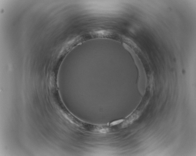 X0000066540760200603171240