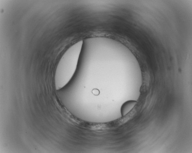 X0000066540761200603171240