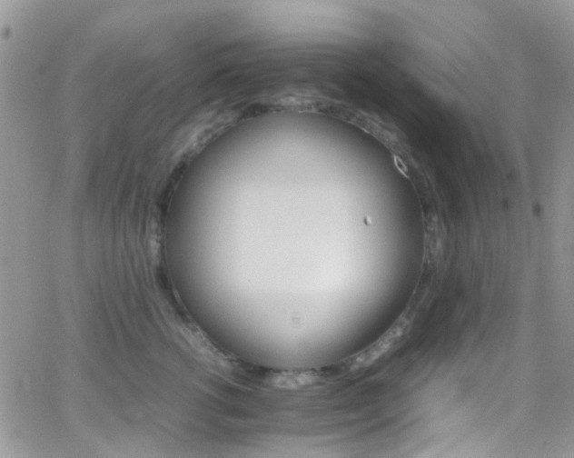 X0000066540762200603171240