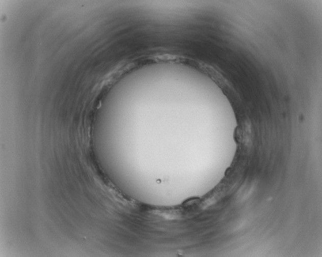 X0000066540763200603171240