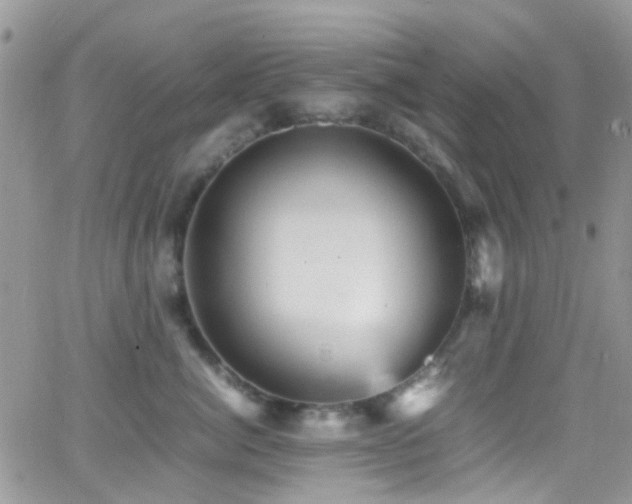 X0000066540764200603171240