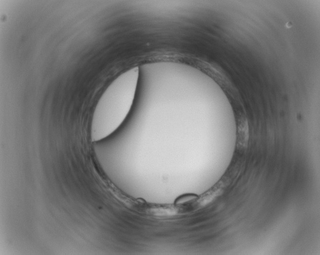 X0000066540765200603171240