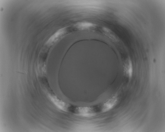 X0000066540766200603171240