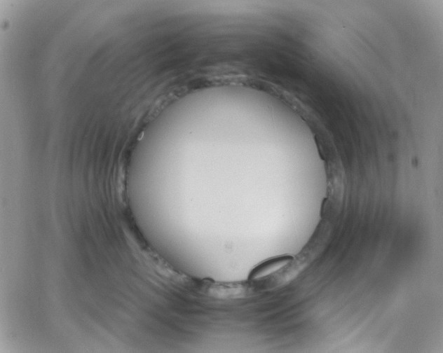 X0000066540767200603171240