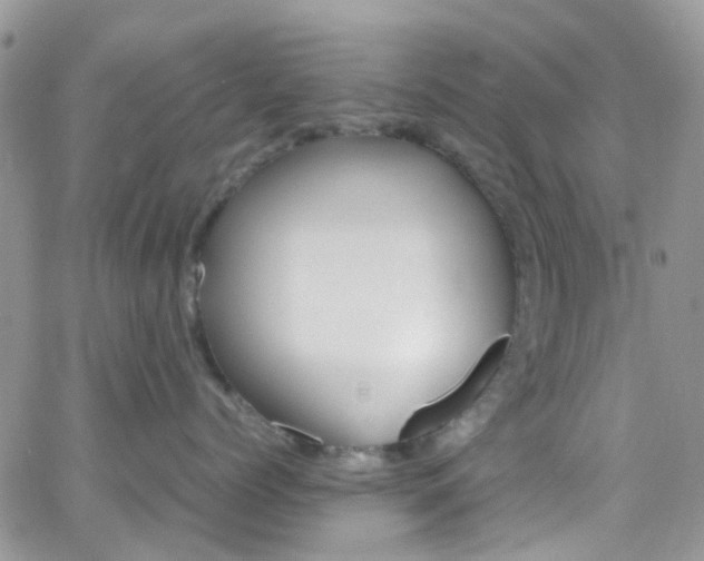 X0000066540768200603171240