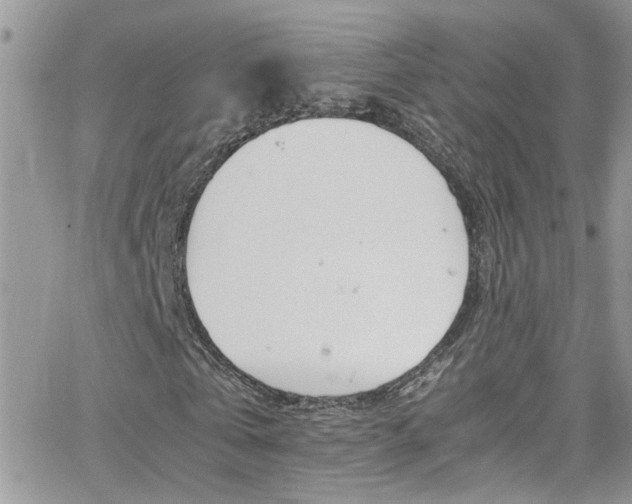 X0000066540769200603171240