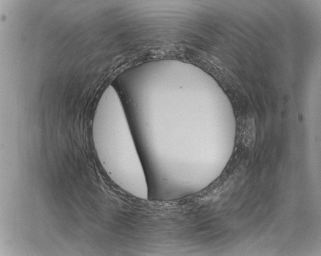 X0000066540770200603171240