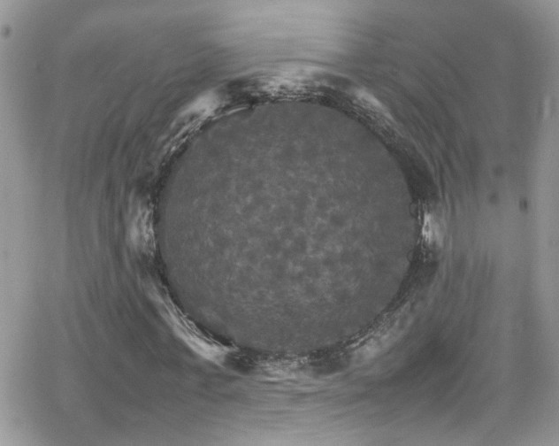 X0000066540771200603171240