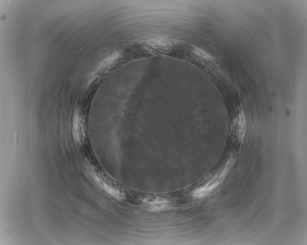 X0000066540772200603171240