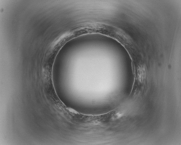 X0000066540773200603171240