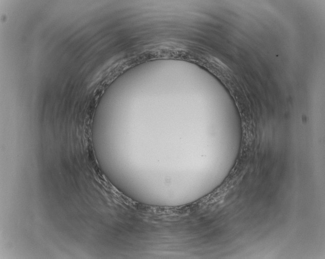 X0000066540774200603171240