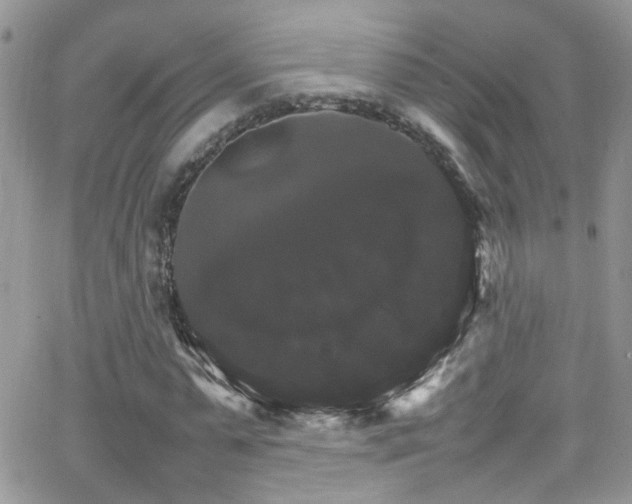 X0000066540775200603171240