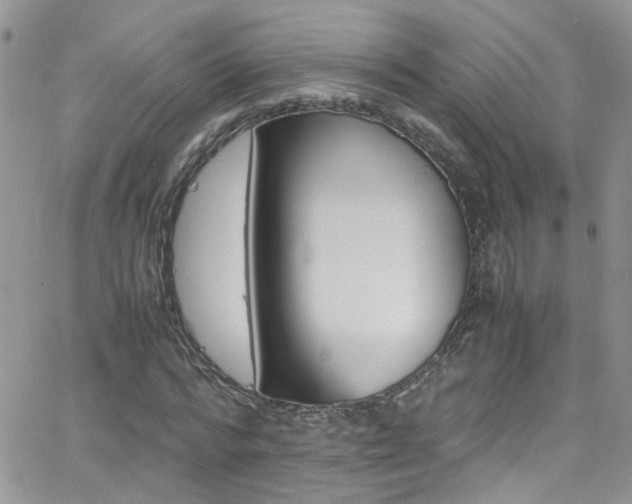 X0000066540776200603171240