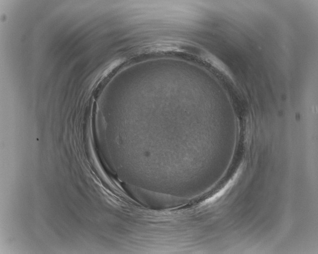 X0000066540777200603171240