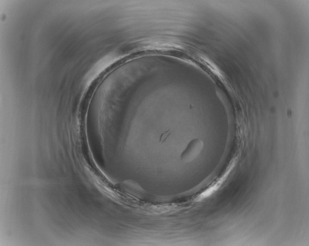 X0000066540779200603171240