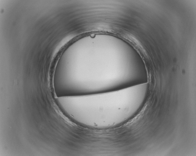 X0000066540780200603171239