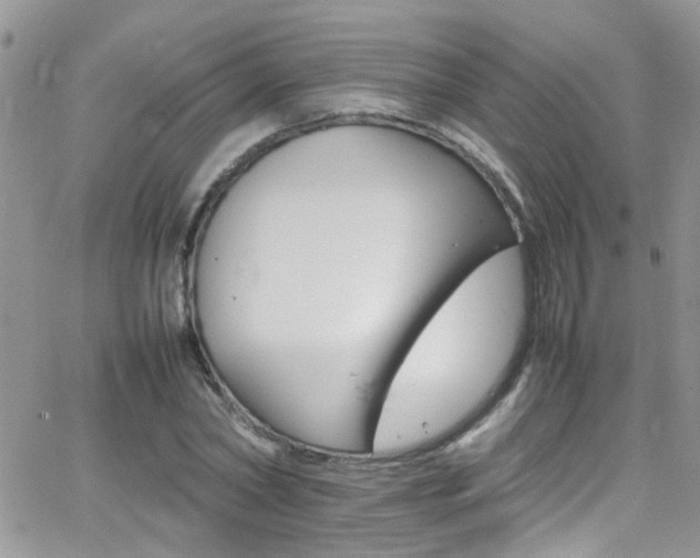 X0000066540782200603171239