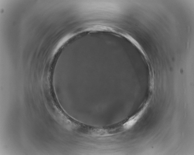 X0000066540783200603171239