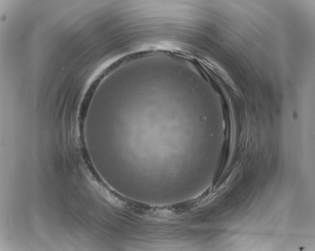 X0000066540784200603171239