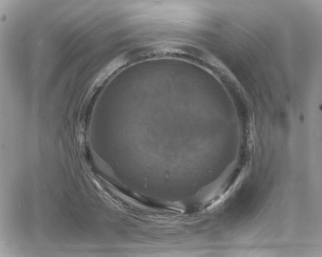 X0000066540785200603171239