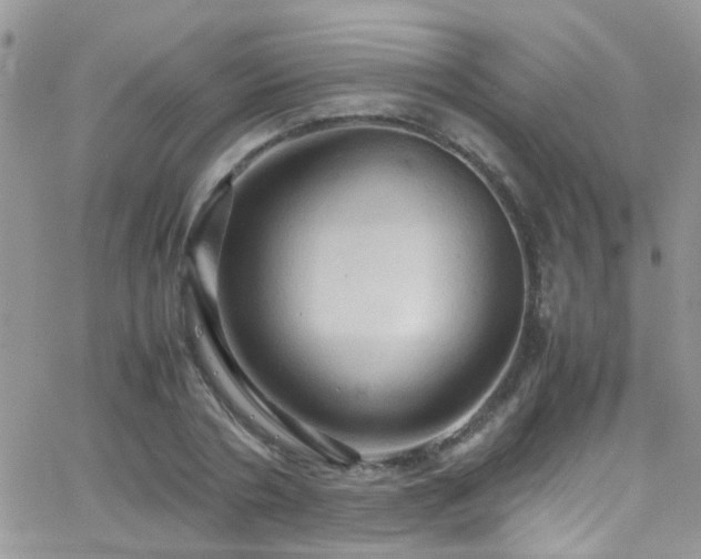 X0000066540786200603171239