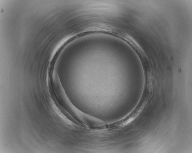 X0000066540788200603171239