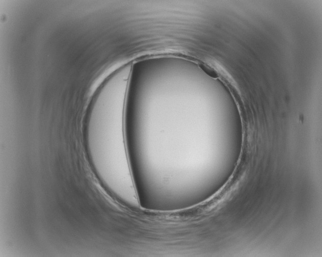 X0000066540789200603171239