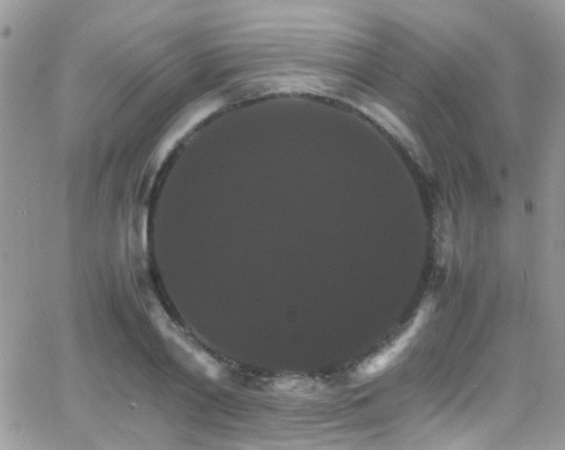 X0000066540790200603171239