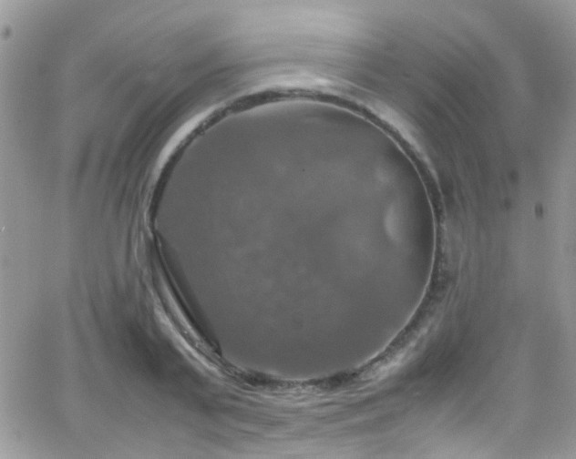 X0000066540791200603171239