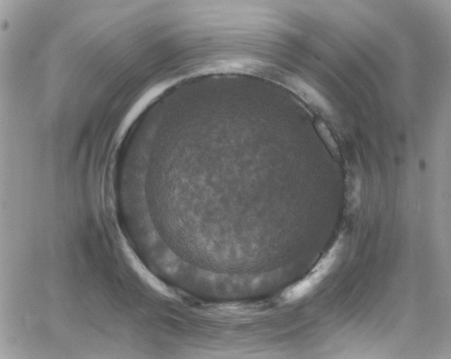 X0000066540792200603171239