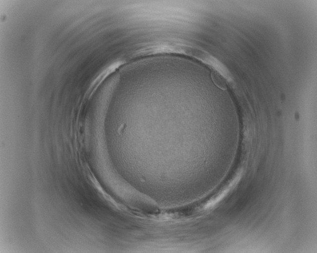 X0000066540793200603171239