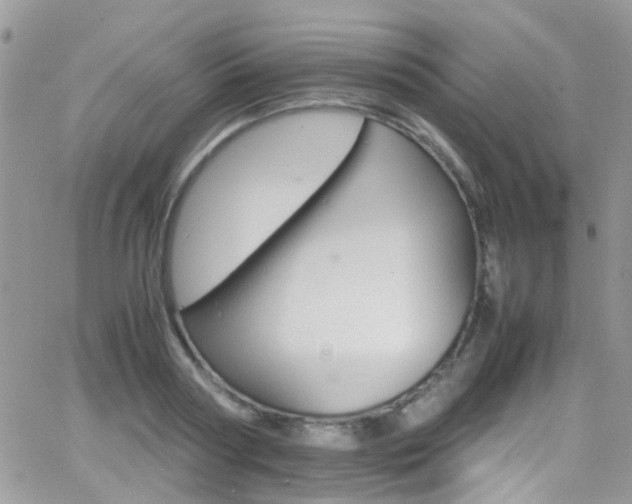 X0000066540794200603171239