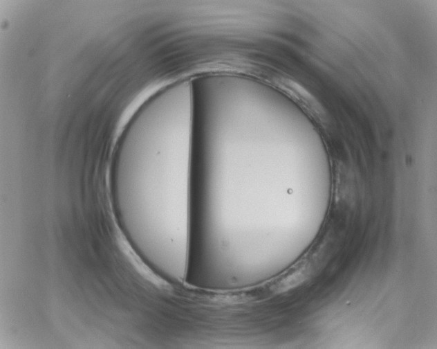 X0000066540796200603171239