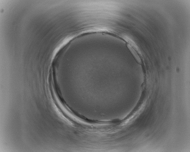 X0000066540797200603171239