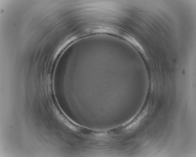 X0000066540798200603171239