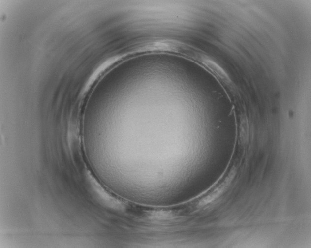 X0000066540800200603171239