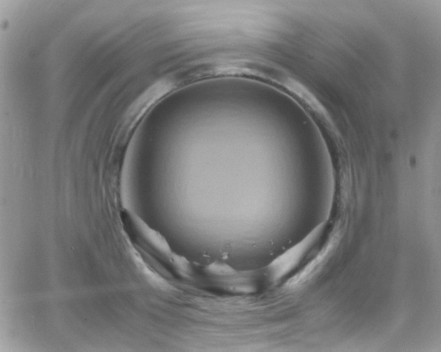 X0000066540801200603171239