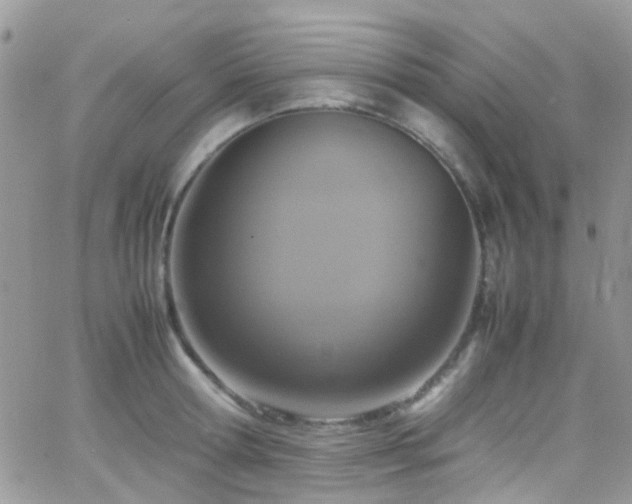 X0000066540802200603171239